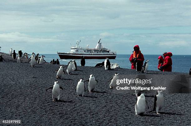 Antarctica, Deception Isl. Ms Society Explorer, Chinstrap Penguins And Tourists.