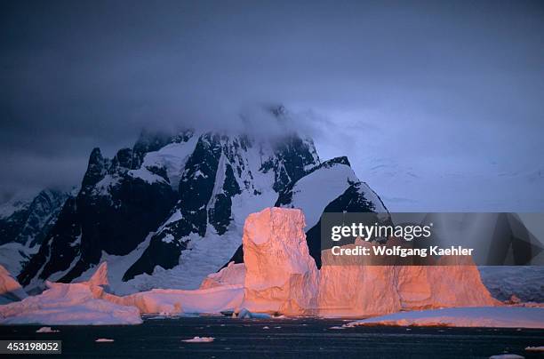 Antarctic Peninsula, Argentine Islands, Icebergs Reflecting Sunset.