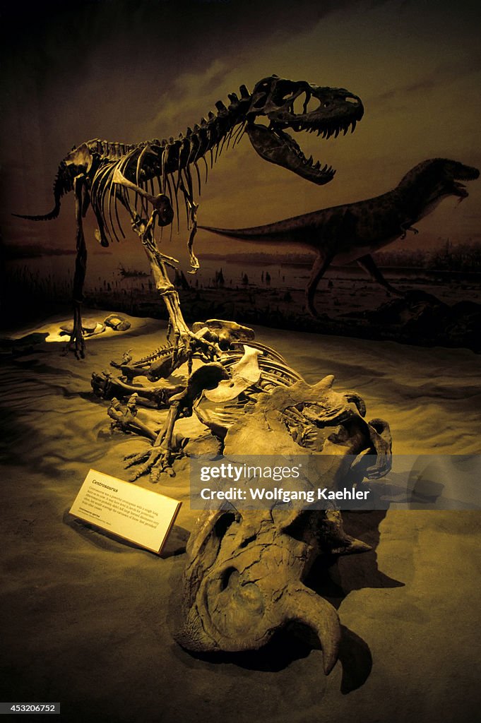 Canada, Alberta, Drumheller, Royal Tyrrell Museum, Interior...