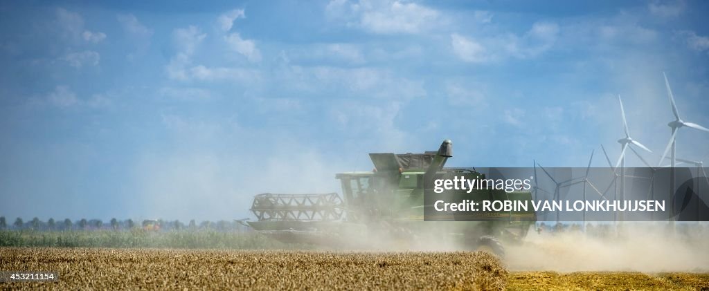 NETHERLANDS-AGRICULTURE-HARVEST-WHEAT