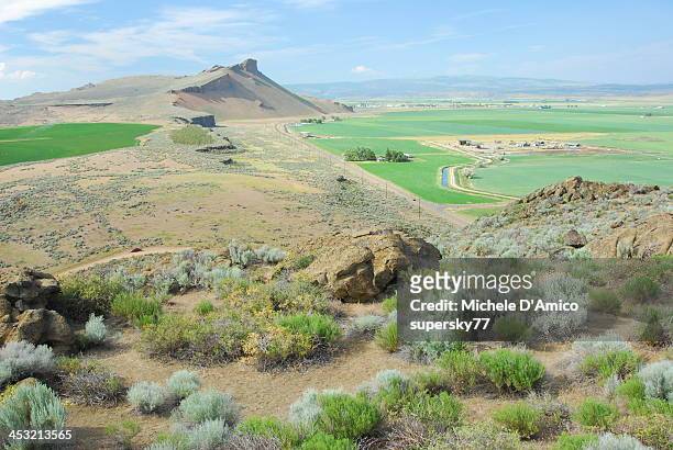 lava beds - modoc county california stock pictures, royalty-free photos & images