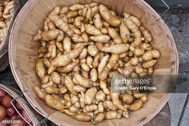 farmers market - fingerling potato stock pictures, royalty-free photos & images