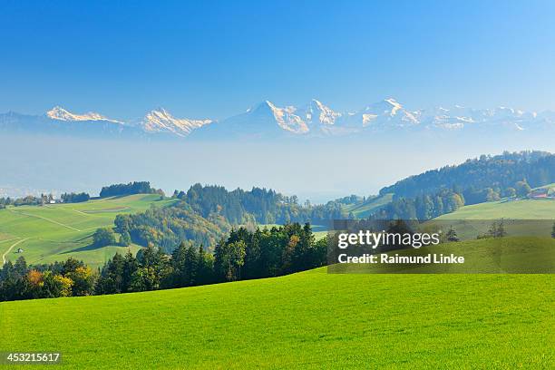 countryside prealps - eiger mönch jungfrau stock pictures, royalty-free photos & images