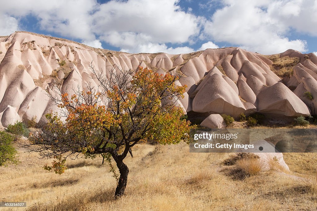 Cappadocia mountains and trees