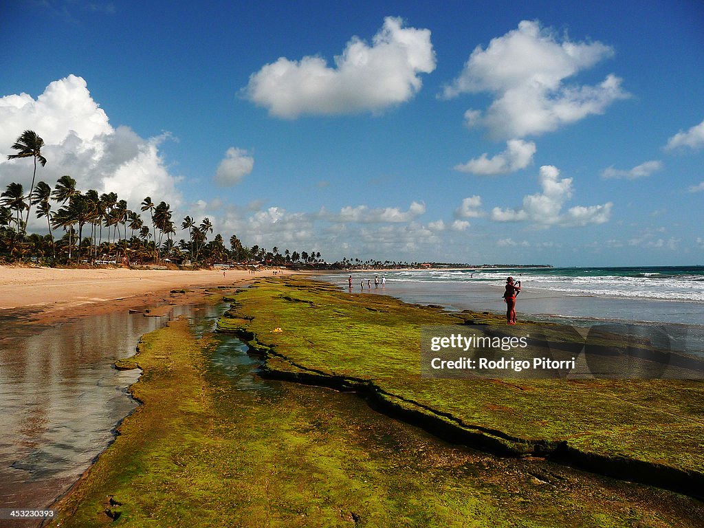 Porto de Galinhas