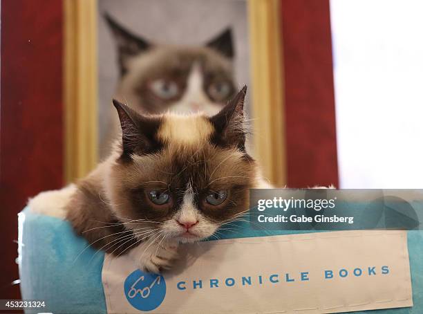 The Grumpy Guide To Life Observations By Grumpy Cat Book Launch Photos ...