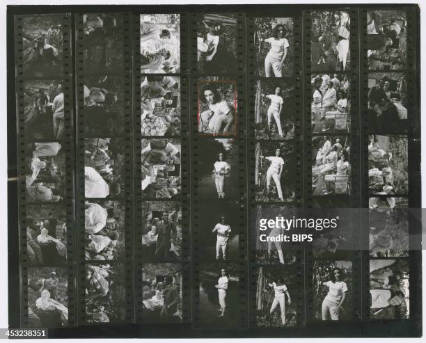 Contact sheet depicting Elizabeth Taylor , Montgomery Clift and Eva Marie Saint on the set of Edward Dmytryk's 'Raintree County', during location...