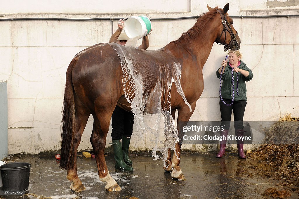 Dublin Horse Show 2014