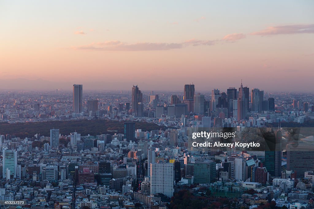 Sunset in Tokyo