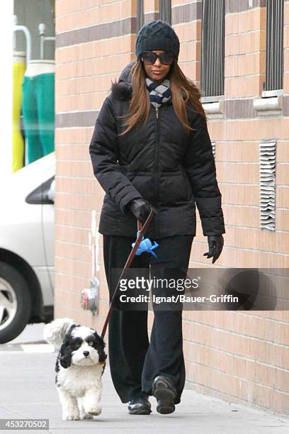 Model Iman is seen as she walking her dog on February 12, 2012 in New York City.