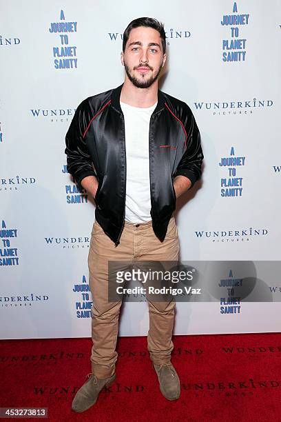 Actor David Flannery attends "A Journey To Planet Sanity" Los Angeles Premiere at Laemmle Monica 4-Plex on December 2, 2013 in Santa Monica,...