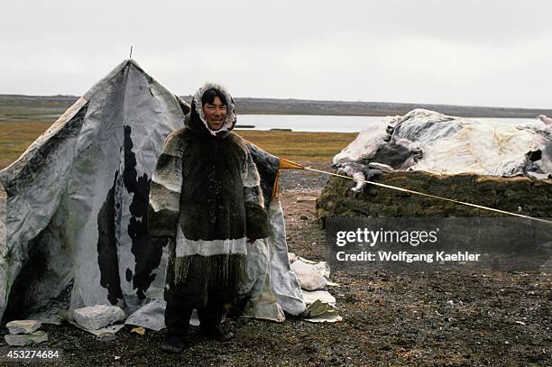 Canada, Nunavut, Hudson Bay, South Hampton Island, Native Pt, Traditional Inuit Summer Hunting Camp.