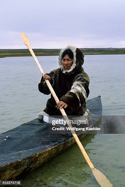 Canada, Nunavut, Hudson Bay, South Hampton Island, Native Pt, Inuit In Traditional Kayak.