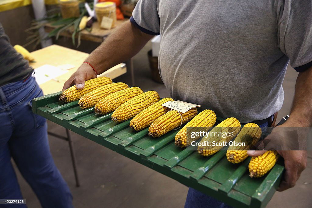 Des Moines Prepares For Iowa State Fair