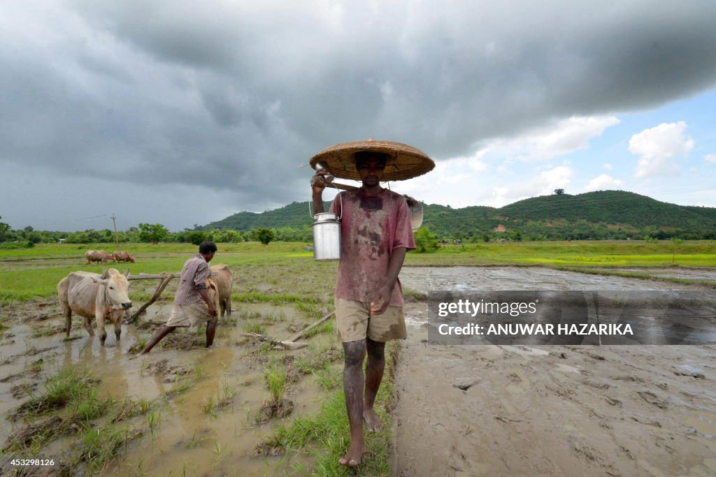 TOPSHOT-INDIA-ECONOMY-PADDY