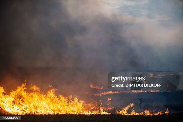 Field burns near the crash site of a Ukranian fighter jet near the village of Zhdanivka, some 40 kilometres northeast of the rebel stronghold of...