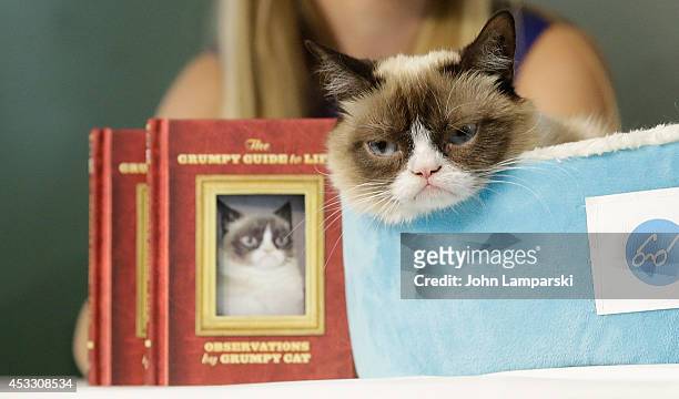 Grumpy Cat attends Grumpy Guide to Life: Observations from Grumpy Cat book event at Barnes & Noble Union Square on August 7, 2014 in New York City.