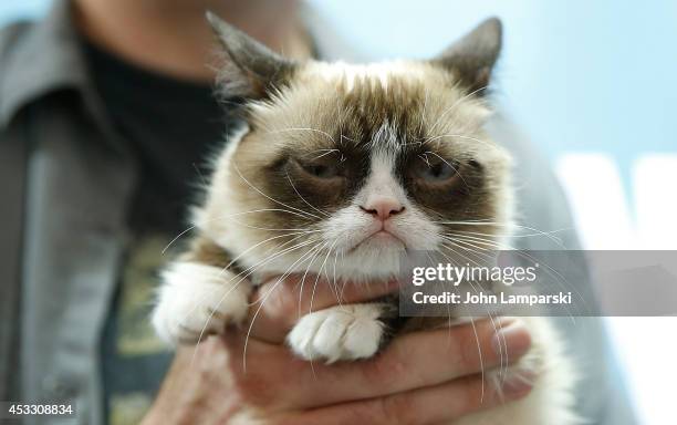 Grumpy Cat attends Grumpy Guide to Life: Observations from Grumpy Cat book event at Barnes & Noble Union Square on August 7, 2014 in New York City.