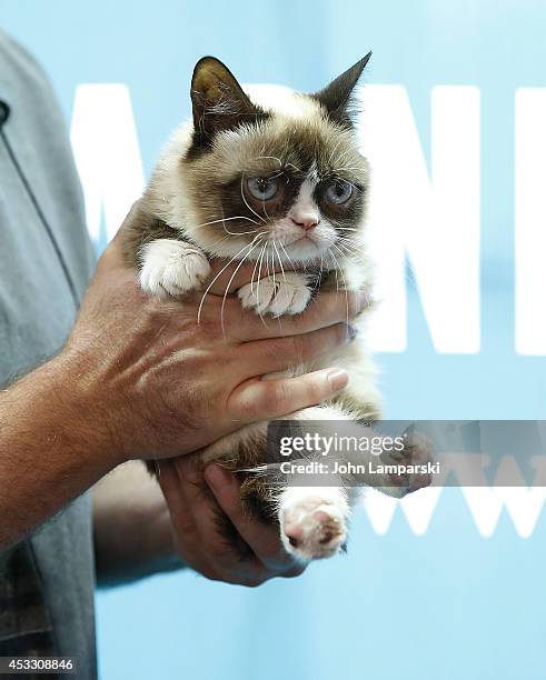 Grumpy Cat attends Grumpy Guide to Life: Observations from Grumpy Cat book event at Barnes & Noble Union Square on August 7, 2014 in New York City.