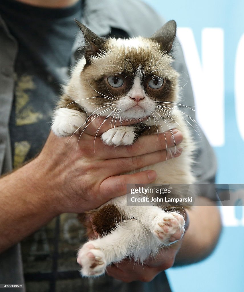 "Grumpy Guide To Life: Observations From Grumpy Cat" Book Event