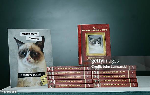 Grumpy Cat attends Grumpy Guide to Life: Observations from Grumpy Cat book event at Barnes & Noble Union Square on August 7, 2014 in New York City.