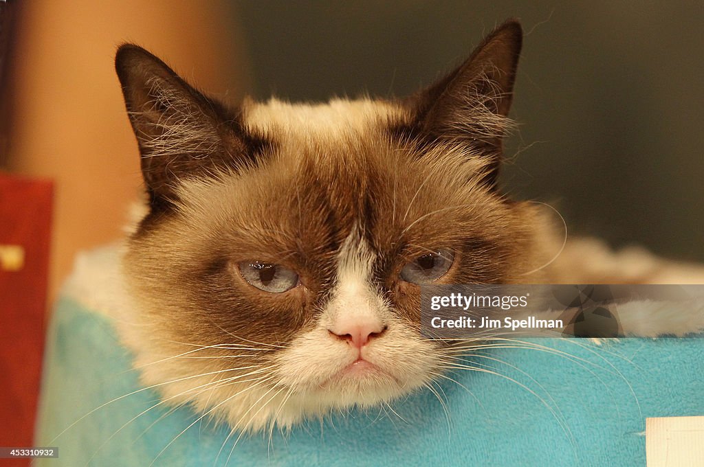 "Grumpy Guide To Life: Observations From Grumpy Cat" Book Event