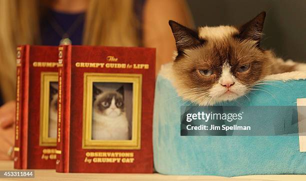 Grumpy Cat attends Grumpy Guide to Life: Observations from Grumpy Cat book event at Barnes & Noble Union Square on August 7, 2014 in New York City.