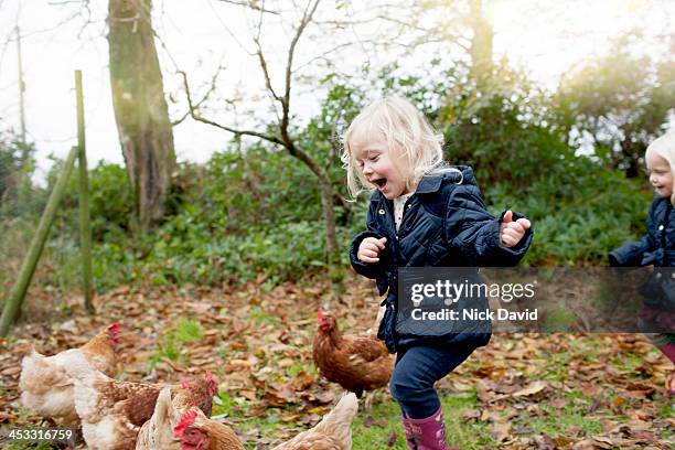family lifestyle - identical twin stock pictures, royalty-free photos & images