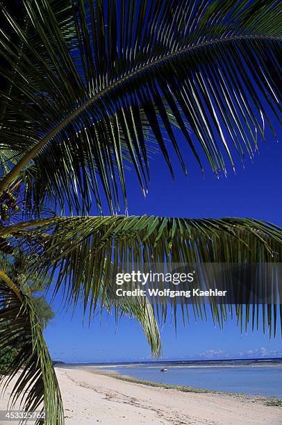 Seychelles, Aldabra Island, Beach.