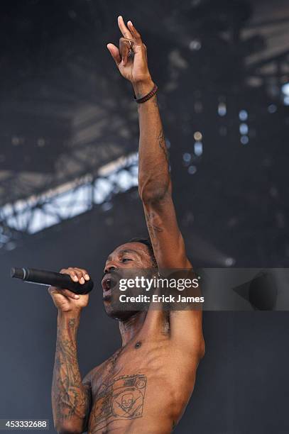 Skip The Use performs live during the Music Festival des Vieilles Charrues on July 17th, 2014 in Carhaix, France.