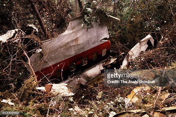 The wreckage of the JAL 123 aircraft are scattered at the crash site at the ridge of Mount Osutaka on August 13, 1985 in Ueno, Gunma, Japan. Japan...