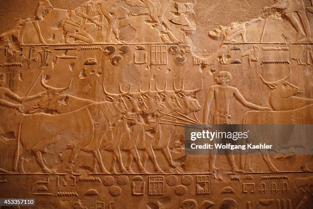 Egypt, Near Cairo, Sakkara, Tomb Of Ptah-hotep, Relief Carving Showing Daily Life.