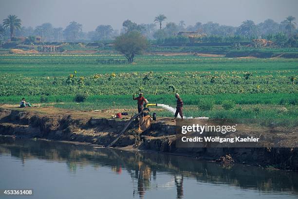 Farming Nile River Photos And Premium High Res Pictures Getty Images farming-nile-river-photos-and-premium-high-res-pictures-getty-images