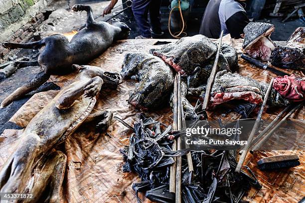 Roasted dogs, snakes, and bat wing are displayed for sale at Langowan traditional market on August 9, 2014 in Langowan, North Sulawesi. The Langowan...