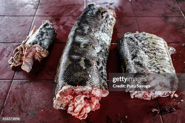 Cuts of snake meat are displayed for sale at Langowan market on August 9, 2014 in Langowan, North Sulawesi. The Langowan traditional market is famous...