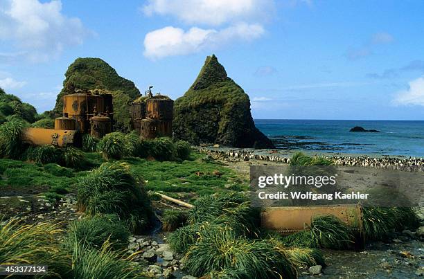 Sub-antarctica, Macquarie Island, Remains Of An Old Whaling Station.