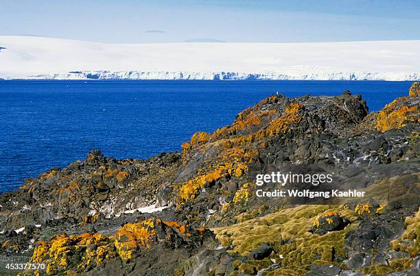 Antarctica Rocks 168 Lichen Antarctica Stock Photos, High-Res Pictures, and Images ...