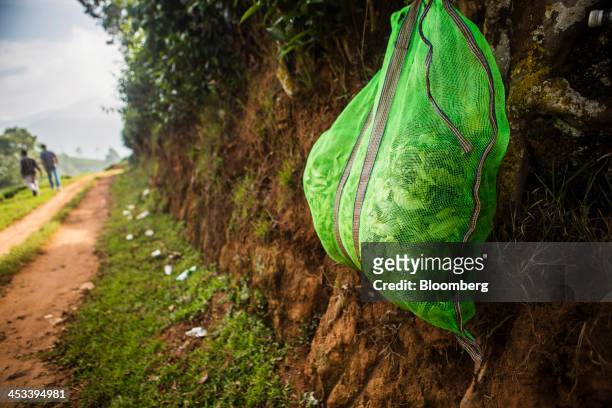 Bag of tea leaves hangs by a track next to a tea estate in Coonoor, Tamil Nadu, India, on Saturday, Nov. 30, 2013. India is the worlds largest...