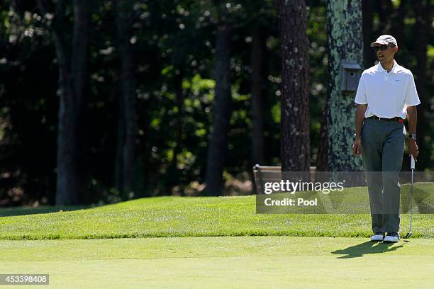 President Barack Obama watches his putt on the first green at the Farm Neck Golf Club on August 9, 2014 in Oak Bluffs, Massachusetts. The Obama's are...