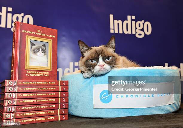 Grumpy Cat attends the "Grumpy Guide To Life: Observations From Grumpy Cat" book event at Indigo at Eaton Centre Shopping Centre on August 9, 2014 in...