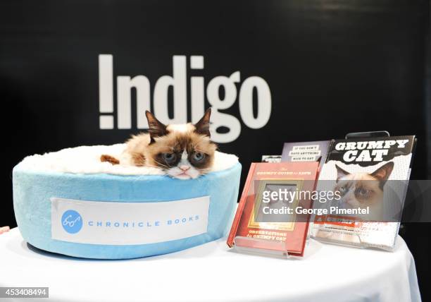 Grumpy Cat attends the "Grumpy Guide To Life: Observations From Grumpy Cat" Book Event At Indigo at Eaton Centre Shopping Centre on August 9, 2014 in...
