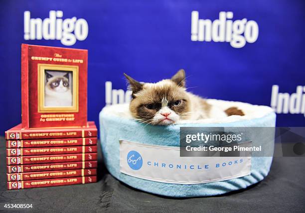 Grumpy Cat attends the "Grumpy Guide To Life: Observations From Grumpy Cat" Book Event At Indigo at Eaton Centre Shopping Centre on August 9, 2014 in...