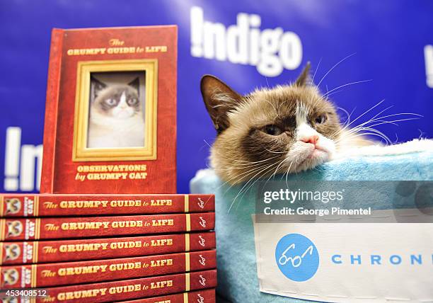 Grumpy Cat attends the "Grumpy Guide To Life: Observations From Grumpy Cat" Book Event At Indigo at Eaton Centre Shopping Centre on August 9, 2014 in...