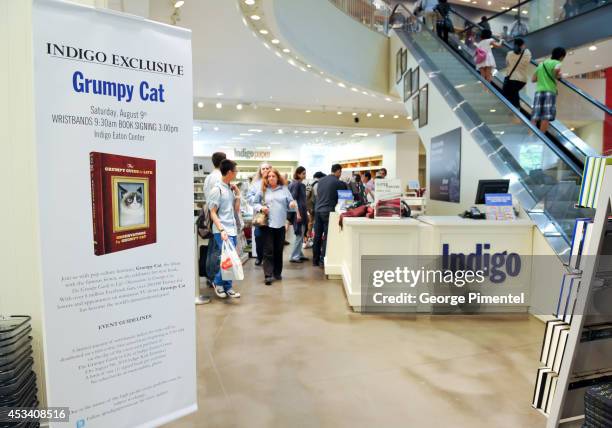 General view of the "Grumpy Guide To Life: Observations From Grumpy Cat" Book Event At Indigo at Eaton Centre Shopping Centre on August 9, 2014 in...