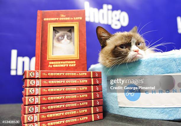 Grumpy Cat attends the "Grumpy Guide To Life: Observations From Grumpy Cat" Book Event At Indigo at Eaton Centre Shopping Centre on August 9, 2014 in...