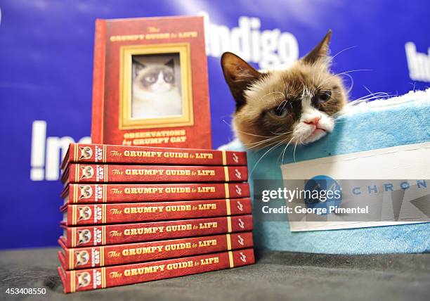 Grumpy Cat attends the "Grumpy Guide To Life: Observations From Grumpy Cat" Book Event At Indigo at Eaton Centre Shopping Centre on August 9, 2014 in...