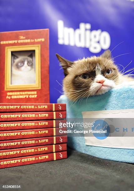 Grumpy Cat attends the "Grumpy Guide To Life: Observations From Grumpy Cat" Book Event At Indigo at Eaton Centre Shopping Centre on August 9, 2014 in...