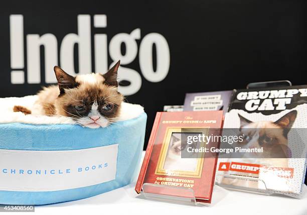 Grumpy Cat attends the "Grumpy Guide To Life: Observations From Grumpy Cat" Book Event At Indigo at Eaton Centre Shopping Centre on August 9, 2014 in...