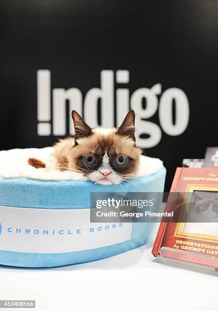 Grumpy Cat attends the "Grumpy Guide To Life: Observations From Grumpy Cat" Book Event At Indigo at Eaton Centre Shopping Centre on August 9, 2014 in...