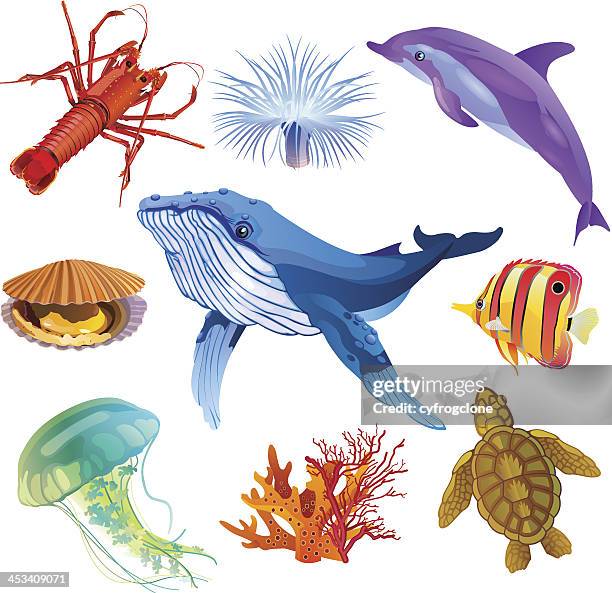 ilustraciones, imágenes clip art, dibujos animados e iconos de stock de fauna al mar - medusa cnidario